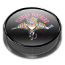 Panthers v2 Icon 96x96 png