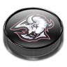 Sabres Icon 96x96 png