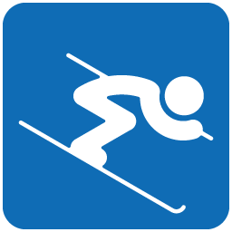 Alpine Skiing Icon 256x256 png