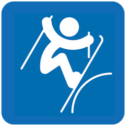 Freestyle Skiing Slopestyle Icon 256x256 png