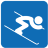 Alpine Skiing Icon 48x48 png