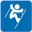 Freestyle Skiing Aerials Icon 64x64 png