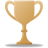 Trophy Bronze Icon