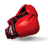 Boxing Icon 48x48 png