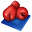 Boxing Icon 32x32 png