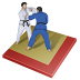 Judo Icon 72x72 png