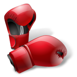 Boxing Gloves Icon 256x256 png