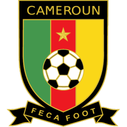 Cameroon Icon 256x256 png