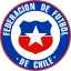 Chile Icon 64x64 png