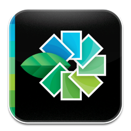 Snapseed 1 Icon 256x256 png