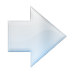 Forward Icon 256x256 png