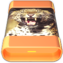 Cats HD Leopard Icon 128x128 png