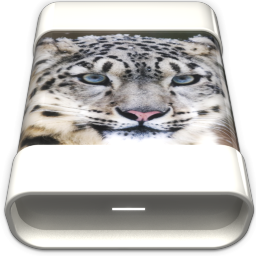 Cats HD SnowLeopard Icon 256x256 png