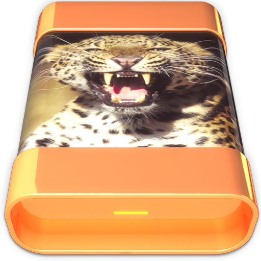 Cats HD Leopard Icon 512x512 png