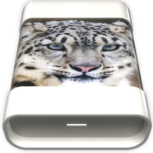 Cats HD SnowLeopard Icon 512x512 png