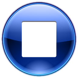 Actions Player Stop Icon 256x256 png