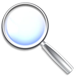 Actions Search Icon 256x256 png