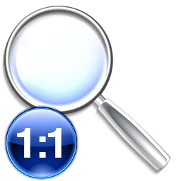 Actions Viewmag 1 Icon 256x256 png