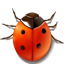 Apps Bug Icon 64x64 png