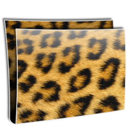 Folder Simple Leopard Icon 256x256 png