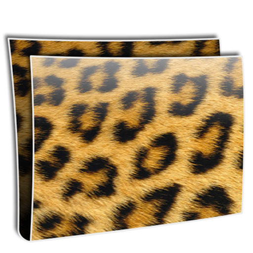 Folder Simple Leopard Icon 512x512 png