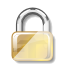 Actions Half Encrypted Icon 64x64 png