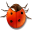 Apps Bug Buddy Icon 32x32 png