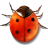 Apps Bug Buddy Icon 48x48 png