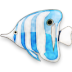Apps Bluefish Icon 72x72 png