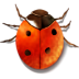 Apps Bug Buddy Icon 72x72 png