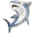 Apps Wireshark Icon 72x72 png