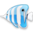 Apps Bluefish Icon Icon 48x48 png