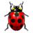 Apps KBugBuster Icon 48x48 png