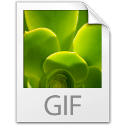 GIF Icon 256x256 png