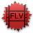 File Flv Icon 48x48 png