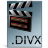 DivX Icon