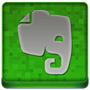 Green Evernote Coloured Icon