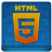 Blue HTML5 Coloured Icon 48x48 png