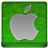 Green Apple Coloured Icon
