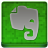 Green Evernote Coloured Icon