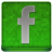 Green Facebook Coloured Icon