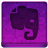Pink Evernote Icon 48x48 png