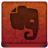 Red Evernote Icon