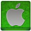 Green Apple Coloured Icon 64x64 png