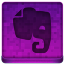 Pink Evernote Icon 64x64 png