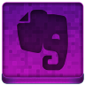 Pink Evernote Icon 96x96 png