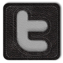 Twitter White Icon 128x128 png