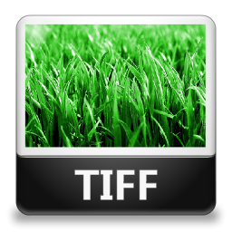 TIFF File Icon 256x256 png