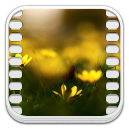 Video Icon 256x256 png