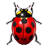 Apps KBugBuster Icon 48x48 png